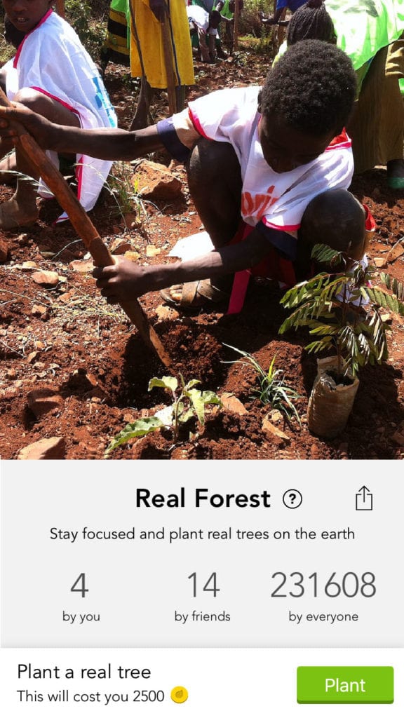 Imagem de uma criança plantando uma árvore.