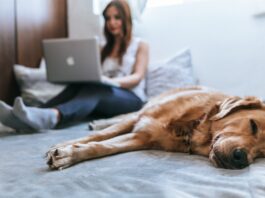 mulher no notebook fazendo terapia online