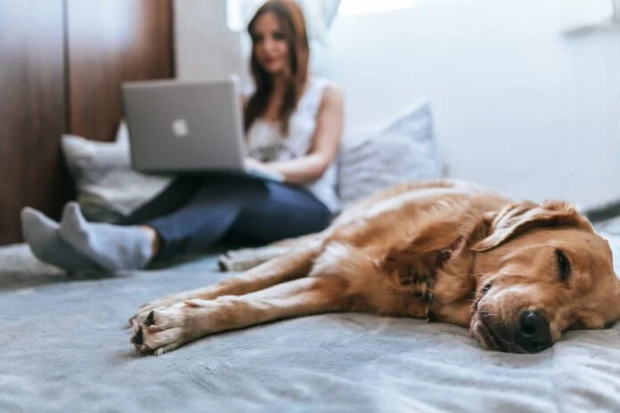 mulher no notebook fazendo terapia online