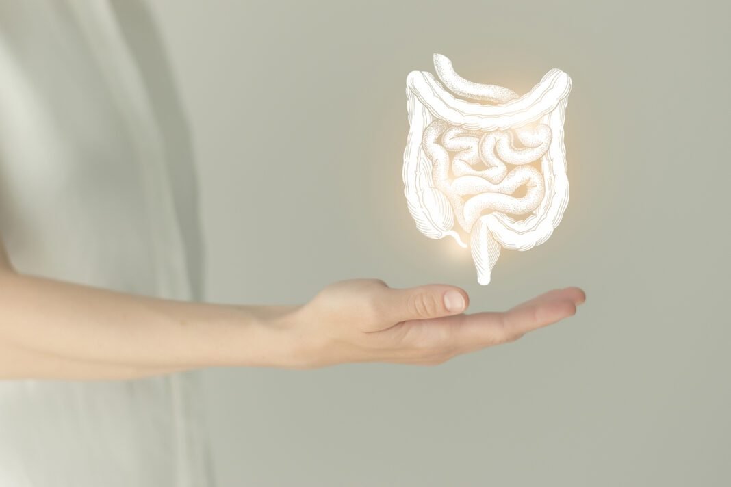 O microbioma humano é celebrado em 27 de junho O microbioma humano é celebrado em 27 de junho