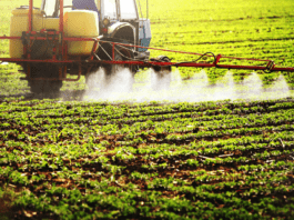 Publicação aponta uso de pesticidas em alimentos infantis