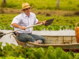 Legado de famoso poeta inclui sustentabilidade no Pantanal