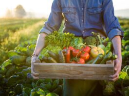 Dia do agricultor é um reconhecimento aos que produzem alimentos para o mundo