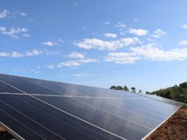 Intersolar 2024 aborda novas estratégias para o setor solar