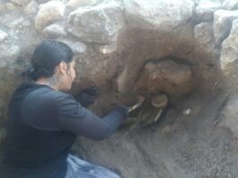 Historiadora explica o uso de radiocarbono na Arqueologia