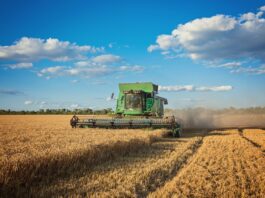 Puxado pelo agronegócio, PIB de Mato Grosso cresce 1.116,2%