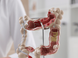 Adrian Bester lança curso on-line de modulação intestinal