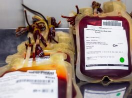 Brasil descarta doações de sangue por falhas de conservação e contaminação