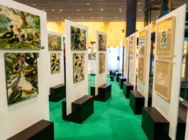 Exposição O Legado Suíço na Amazônia ocorre em Florianópolis