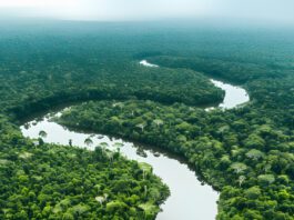 Crédito para transição climática é destaque na Semana do Clima de Nova York