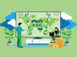 Implantação do ESG é viável para organizações de todos os tamanhos