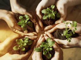 Dia do Educador Ambiental é comemorado em 15 de outubro