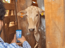 MUU firma parceria com a Secretaria de Agricultura de SP