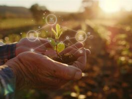 Apenas 19% do agro brasileiro tem maturidade tecnológica