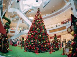 Boulevard Shopping celebra o “Natal Divertido dos Ursos”