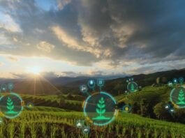 Grandes empresas do agro têm maior maturidade tecnológica