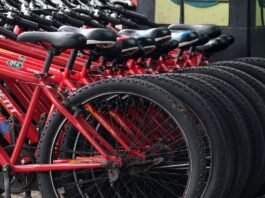 Sustentabilidade entra na pauta das empresas de logística