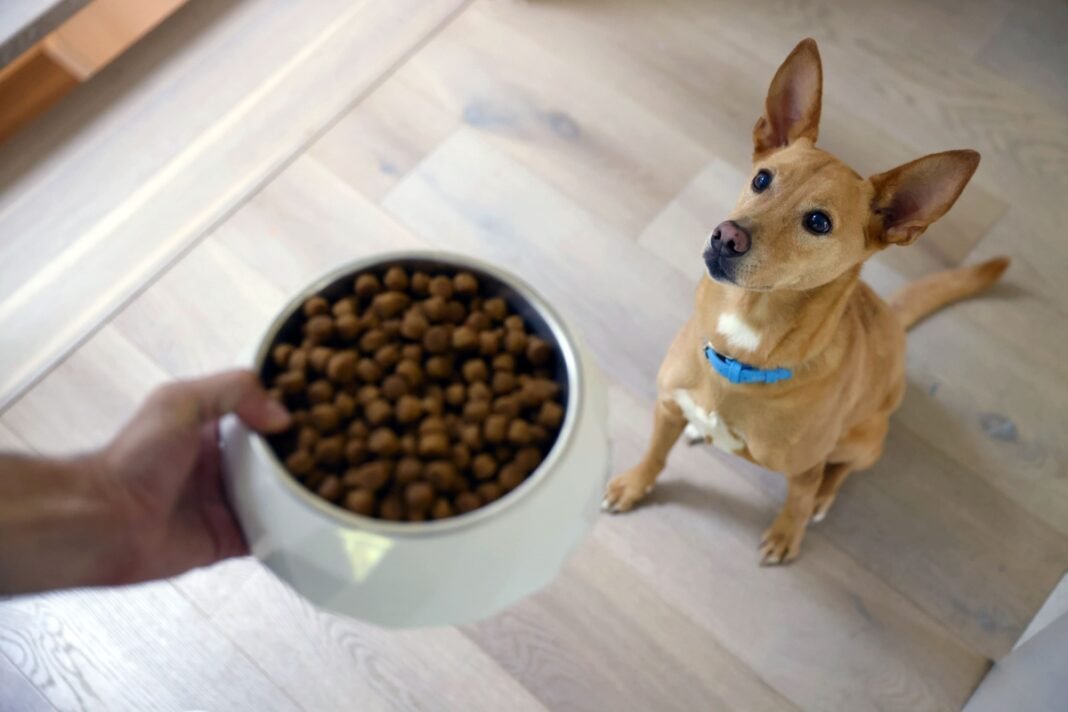 Hill's lança a Sensitive Stomach & Skin, da Specialty, com proteína sustentável Hill's lança a Sensitive Stomach & Skin, da Specialty, com proteína sustentável