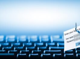 Brasiline oferece teste para detectar ataques de phishing