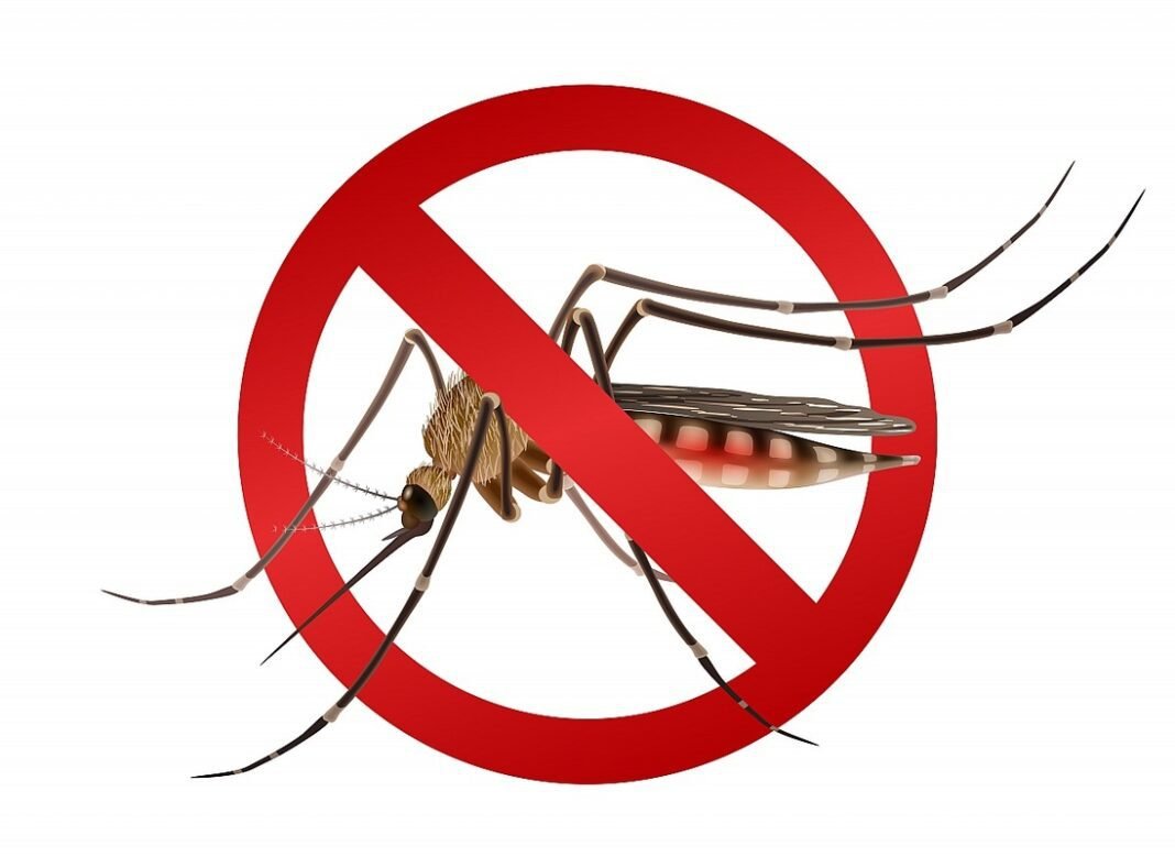 Ministério da Saúde reforça combate à dengue em São Paulo Ministério da Saúde reforça combate à dengue em São Paulo