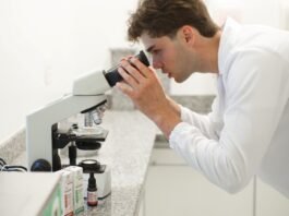 Estudos revelam novos benefícios da própolis