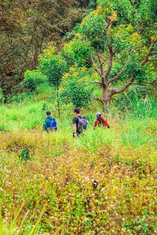 Turismo regenerativo coloca a natureza no centro desta atividade Turismo regenerativo coloca a natureza no centro desta atividade