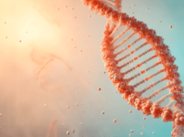 Tecnologia PDRN utiliza DNA do salmão no cuidado da pele
