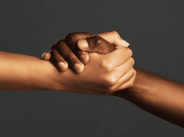 Publicação aponta dados sobre uso de cannabis no exterior