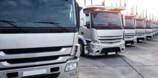 Mulheres assumem liderança em empresas de transporte de cargas e logística