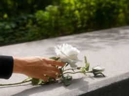 Ciclo Assist oferece assistência funeral personalizada
