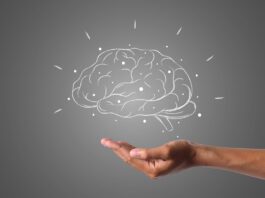 Neurociência ajuda em estratégias para o mundo empresarial