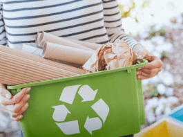 Processo de reciclagem contribui para a preservação do meio ambiente
