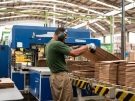 Setor de embalagens se transforma com a sustentabilidade