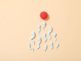 Crescem os pedidos de reversão de vasectomia