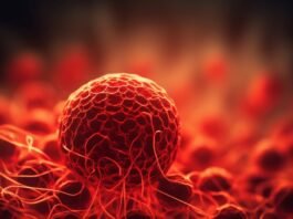 Car-T Cell é esperança para pacientes com mieloma múltiplo