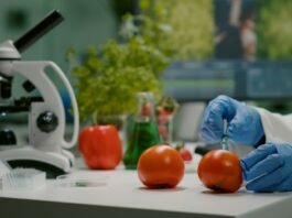 Nutrigenética avança em protocolos de prevenção e tratamento
