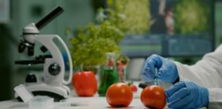 Nutrigenética avança em protocolos de prevenção e tratamento