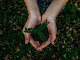 Jornada de Inovação Bancorbrás Social premia iniciativas de turismo sustentável