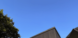 Stanley’s Hair abre 40 lojas e reforça governança