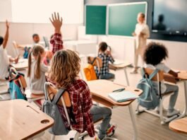 Especialista defende inovação nas PPPs de Educação