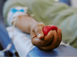 Doar sangue exige cuidados e critérios específicos