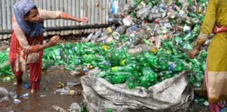 Índice de trabalho infantil no Brasil demanda atenção