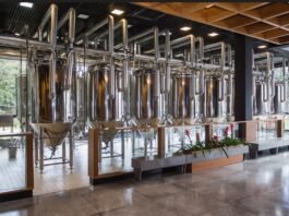 Novo site de empresa de bebidas é criado por jovens talentos