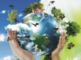 Dia Mundial do Meio Ambiente é comemorado em 5 de junho