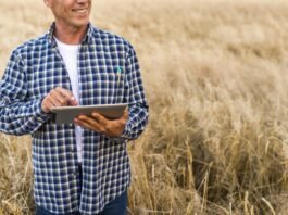 Pagamento rural exige atenção à segurança jurídica