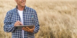 Pagamento rural exige atenção à segurança jurídica