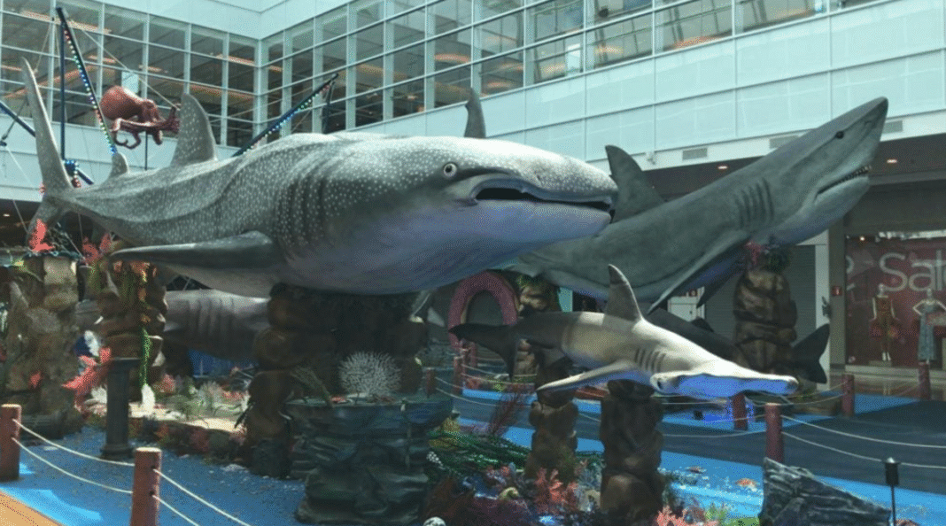 Exposições temáticas podem aliar diversão e aprendizado Exposições temáticas podem aliar diversão e aprendizado