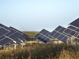 Inteligência de dados avança no setor fotovoltaico