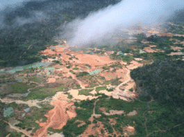 Garimpo ilegal toma Amazônia e desafia mineração responsável