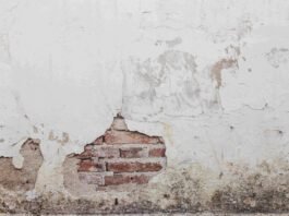 Patologias nas edificações comprometem saúde, segurança e vida útil dos imóveis